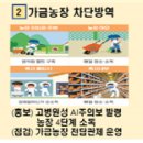 수평농장 이미지