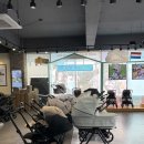 베이비하우스 울산점 | 베이비하우스 울산점 잉글레시나 일렉타 절충형 유모차 내돈내산 구매 후기