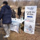 날아라 생선 이미지