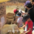 김영종 농장 이미지