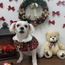 까까 멍 이미지