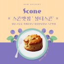 볼더스콘 | 성남디저트맛집_볼더스콘 3탄 고등동데이트 내돈내산