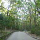 동막골약수터 이미지