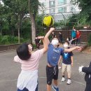 피구 Daum카페