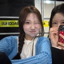 월드영 이미지