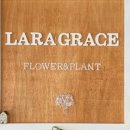 그레이스쇼핑 이미지