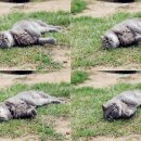 씨송펜션 이미지