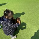 새들유치원 | 청주 가볼만한 곳 추천! <쥬니멀 동물원>에 아이랑 동물 먹이주기 체험 후기