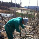 복룡농장 이미지