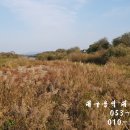 탑인력개발 - 서구 문화로 227-1 | 탑인력개발