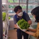 팜 마트 이미지