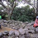 일출랜드식물원 이미지