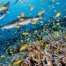 CORE PC CAFE 이미지