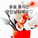 삼여 Daum카페