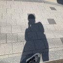올모스트 올웨이즈 | 구름 같은 인생