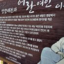 2022.11.24-25일간 진도 철새도래지.자연휴양림.소노 솔비치호텔리조트 관광기. 이미지