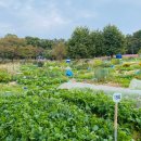 만물농장 이미지