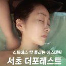 미니스톱 서초남부점 | 서초동 피부관리 더포레스트, 강남 직장인 홀린 프랑스 명품 달팡 관리 후기