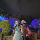 표선리-34 이미지