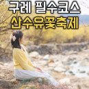 평촌마을회관 | 전남 구례 산수유꽃축제 마을 실시간 개화율 맛집 당일치기