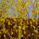 피터 하밀 단편소설 [고잉 홈] 이미지