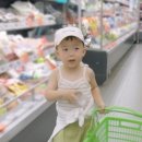 태하 카카오 검색결과