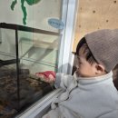 한밭수목원 동원 | 두돌아기랑 한밭수목원 동원, 곤충생태관 나들이