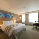 Howard Johnson Hotel Incheon Airport | 인천 여행, 가성비 호텔 찾는다면 여기! 4성급 호텔 추천 BEST 4