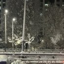 데굴데굴 네이버블로그