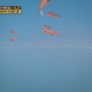 신비짬뽕