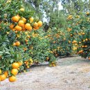 김앤김공인중개사사무소 이미지