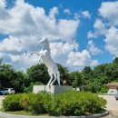 대마1리 이미지