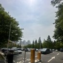 데미샘 꿈그린 목장 | 서울 근교 양떼목장 주말 나들이 인천 늘솔길 양떼목장 주차꿀팁 양 먹이 카페
