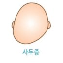 사두 네이버블로그