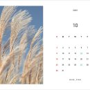 옵티컬 안테나 이미지