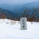 인우여행사
