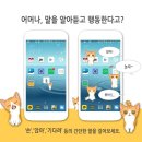 헬로펫 이미지