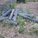 늘푸른환경 이미지