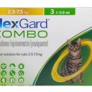 성요셉의원 이미지