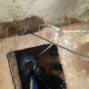 두꺼비호프 이미지