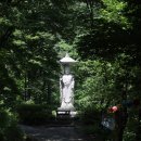 174 | 남양주 운길산 [수종사] 후기