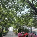 1탄 굿파트너 촬영지 파주 퍼스트가든에 다녀왔어요 이미지