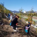 순천 나무숲 이미지