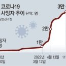 국내 코로나 누적 사망자 3만명 넘었다 이미지