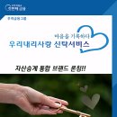 내리사랑 이미지