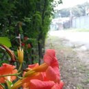 원당리농장 이미지