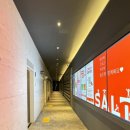 솔트스포츠 이미지