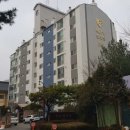 조이행복약국 이미지