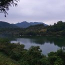 캠핑등갈비 이미지