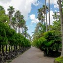 한림공원 이미지